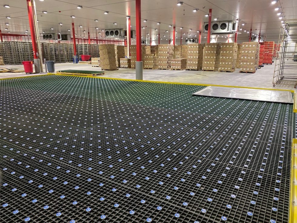 Heavy Duty Air Cargo Ball Transfers