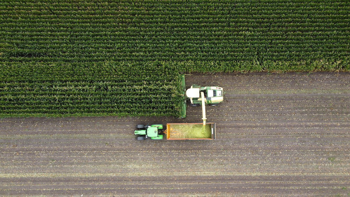 a top-down view of farm equipment being used to harvest corn